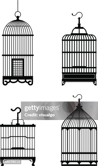 Bird cage Bird cage