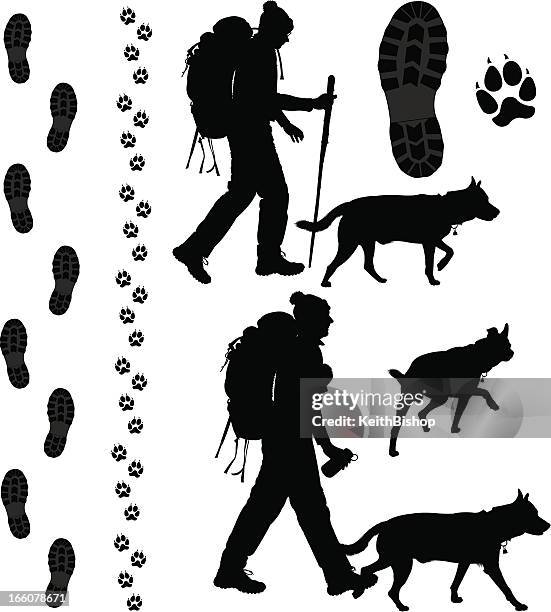 ilustrações de stock, clip art, desenhos animados e ícones de sapatos de caminhada e o seu cão com footprints, faixas - mixed breed dog