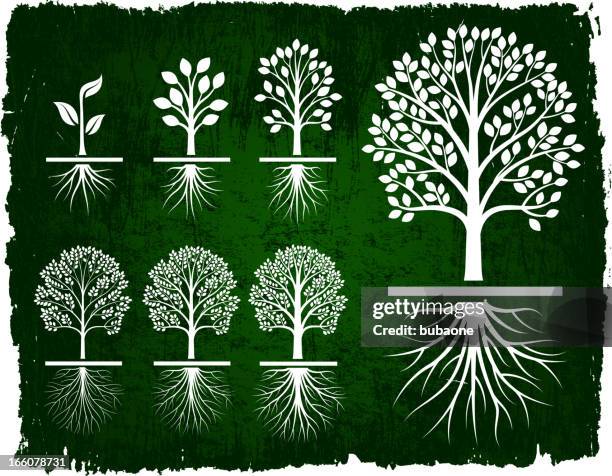 illustrazioni stock, clip art, cartoni animati e icone di tendenza di crescendo albero verde grunge set di icone vettoriali royalty-free - roots