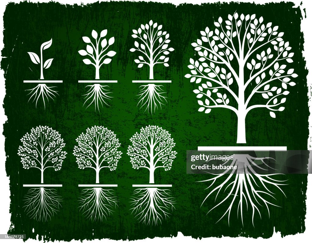 Tree Growing Green Grunge royalty free vector icon set