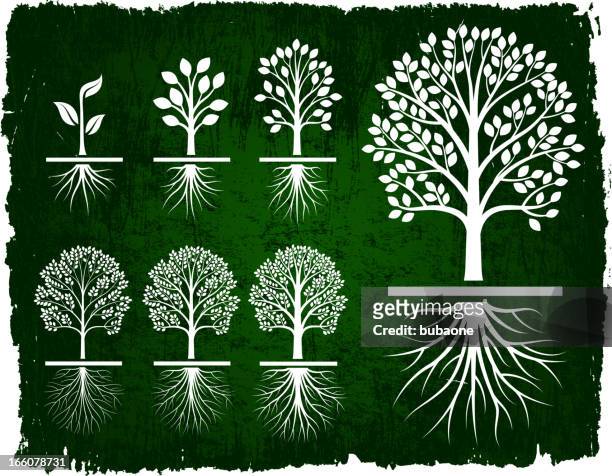 tree growing green grunge royalty free vector icon set - oak tree stock illustrations