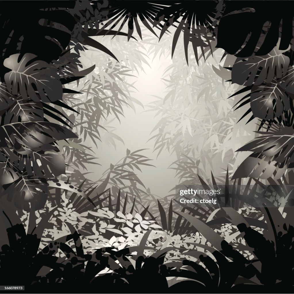 Jungle black and white