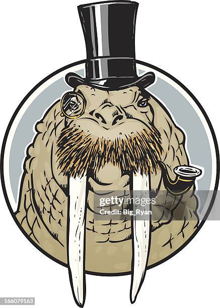 sir walrus - walrus stock illustrations