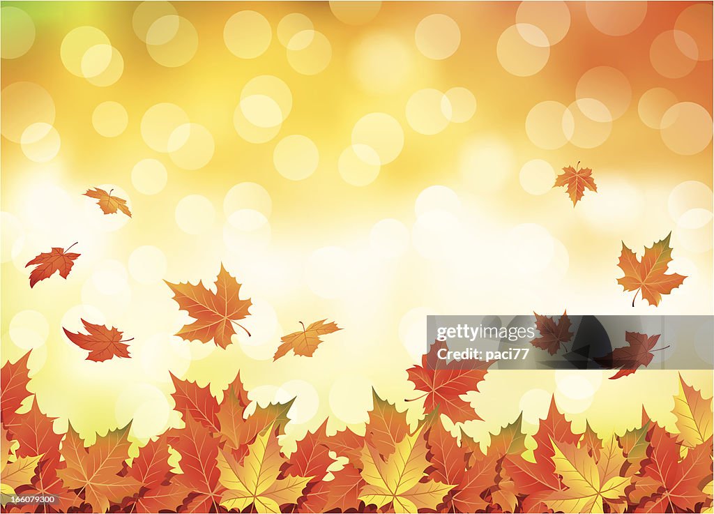 Illustrated autumn falling leaves background