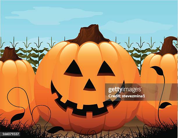 jack o lantern pumpkin patch - pumpkin patch stock illustrations