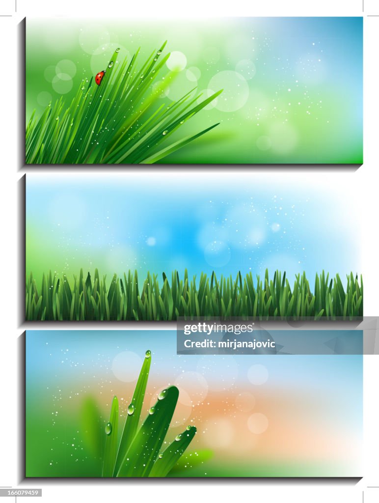 Small Spring Banner Spring Banners High-Res Vector Graphic - Getty Images