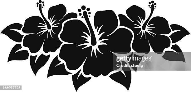 hibiscus flowers - hibiscus stock illustrations