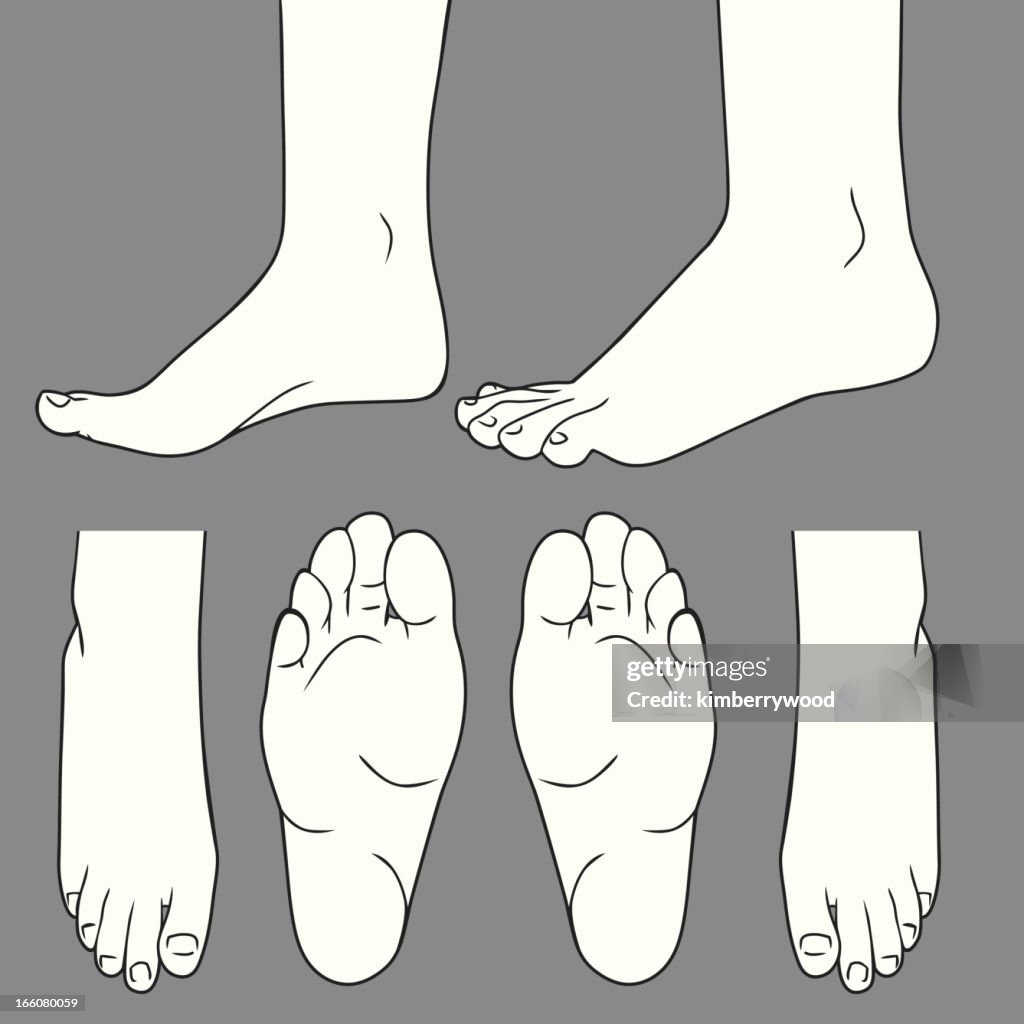 Feet