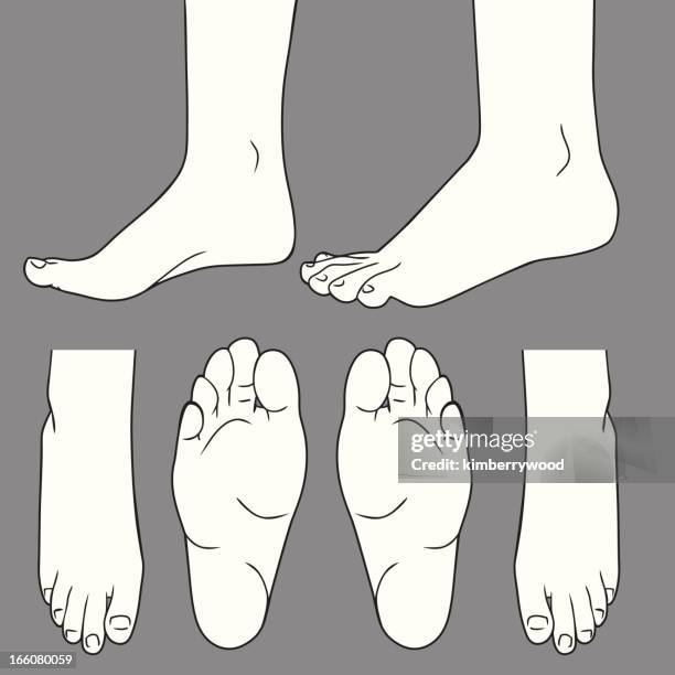 Foot Front 7,190 Foot Front View Stock Photos, High-Res Pictures, and Images ...
