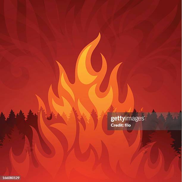 ilustraciones, imágenes clip art, dibujos animados e iconos de stock de incendio forestal - incendio forestal