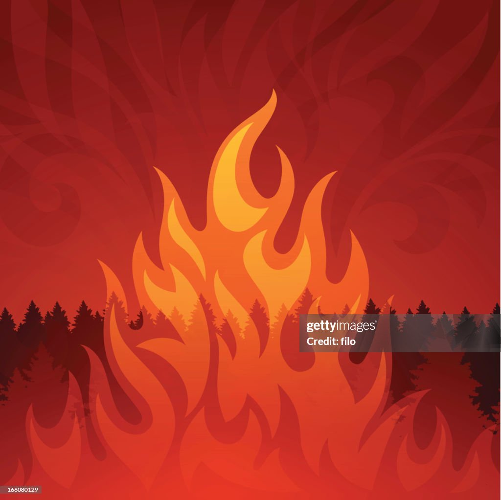 Forest Fire
