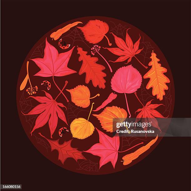 autumn leaves circle with ladybug - ladybug background stock illustrations
