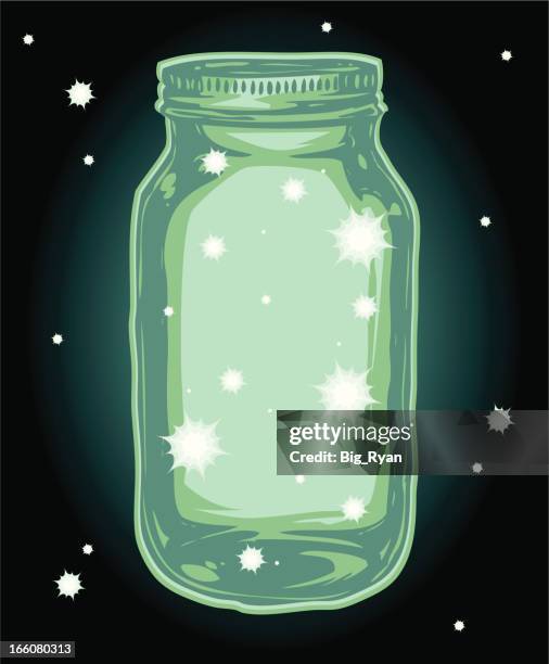 fire flys in a jar - longhorn beetle stock illustrations