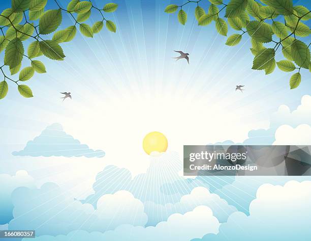 Bird Flying Frame By Frame Photos and Premium High Res Pictures - Getty ...