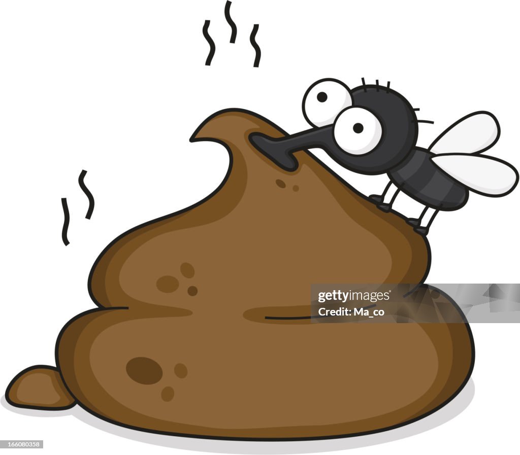 Cartoon fly on a pile of shit
