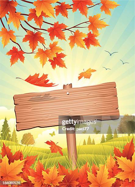 ilustraciones, imágenes clip art, dibujos animados e iconos de stock de otoño cartel de madera - erupción solar
