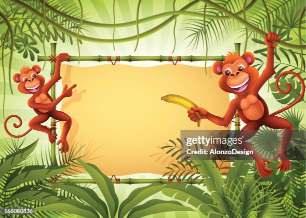 monkeys with banner in the jungle - amazon vines stock illustrations