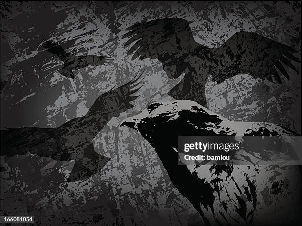 buse on grunge texture background with multiple bird shadows - animals hunting stock illustrations