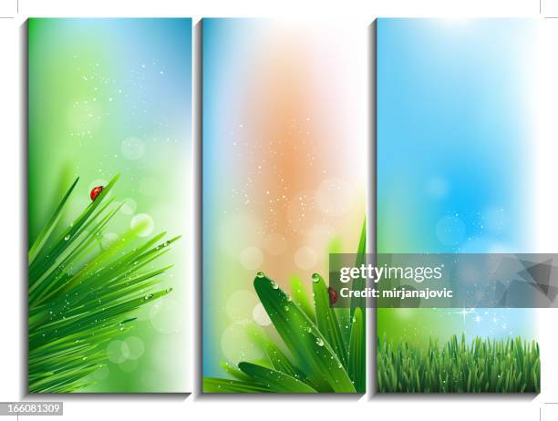 spring banners - macro nature stock illustrations