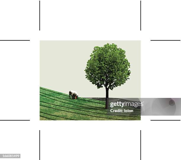 illustrazioni stock, clip art, cartoni animati e icone di tendenza di verdi colline con pecore e albero - lonely sheep