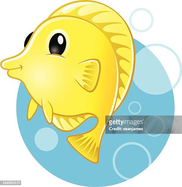 yellow tang marine fish - acanthuridae stock illustrations