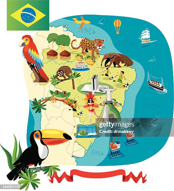 cartoon karte von brasilien - brasilien stock-grafiken, -clipart, -cartoons und -symbole