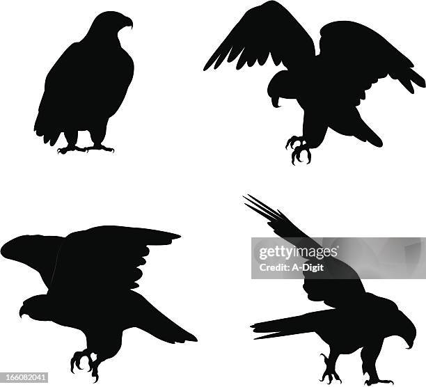 stockillustraties, clipart, cartoons en iconen met eagles vector silhouette - roofvogel