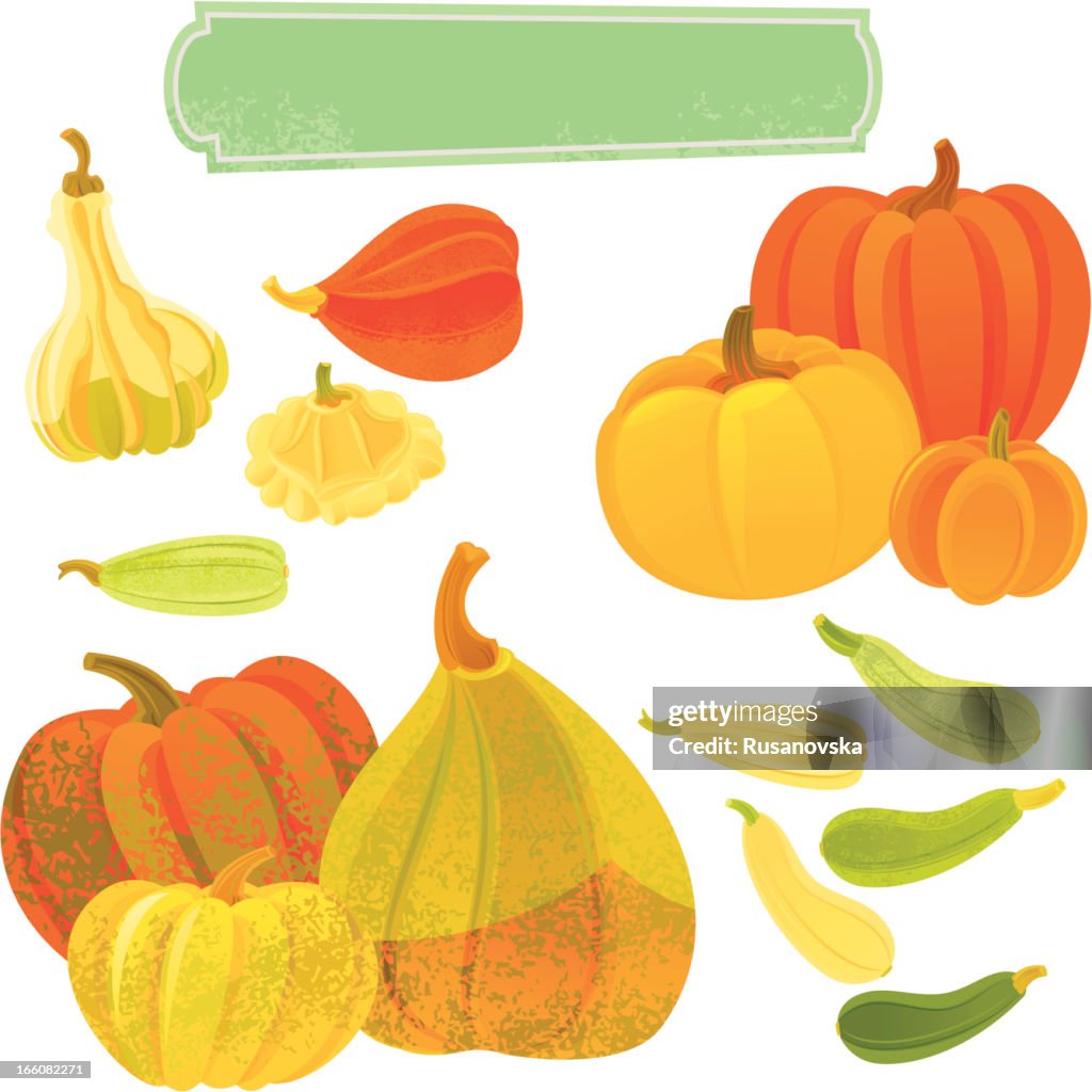 Pumpkins and Squashes