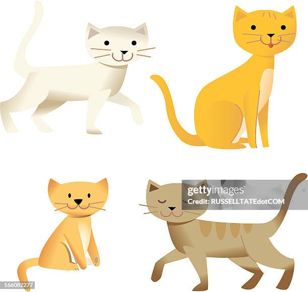 nur katzen - undomesticated cat stock-grafiken, -clipart, -cartoons und -symbole