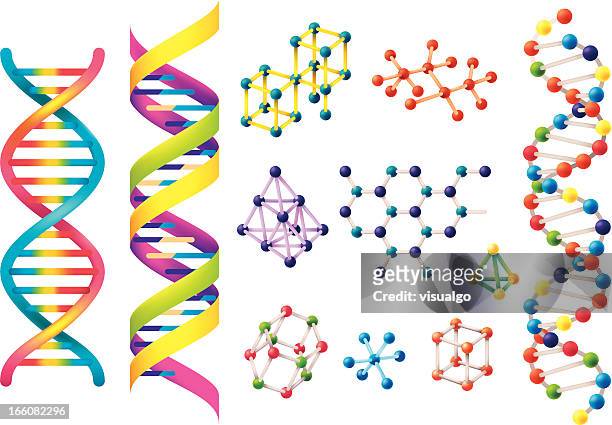 illustrazioni stock, clip art, cartoni animati e icone di tendenza di il dna - struttura molecolare