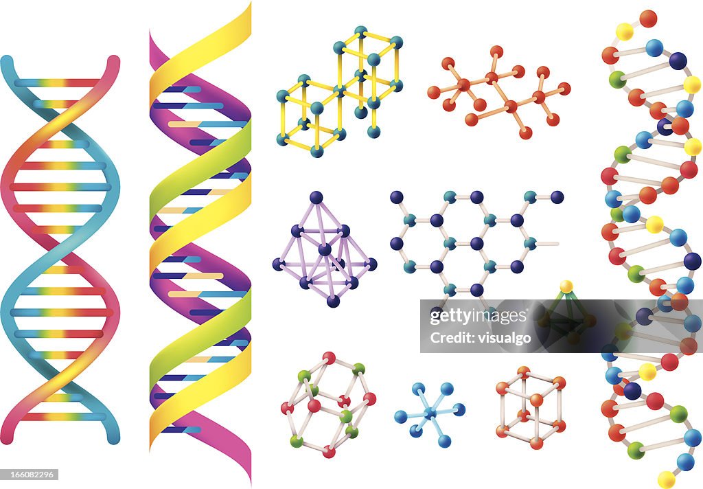 Dna Genetics Models Set Of Assorted Colorful Dna Models High-Res Vector Graphic - Getty Images