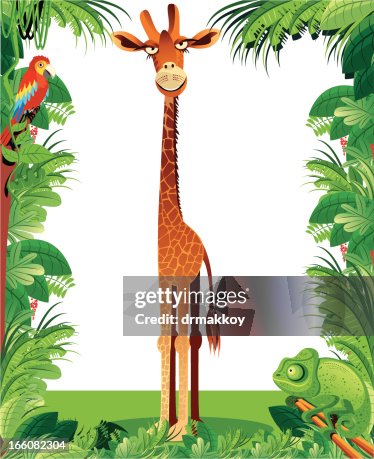 Giraffe Giraffe