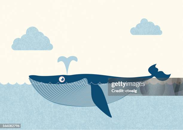 blue whale - blue whale stock illustrations