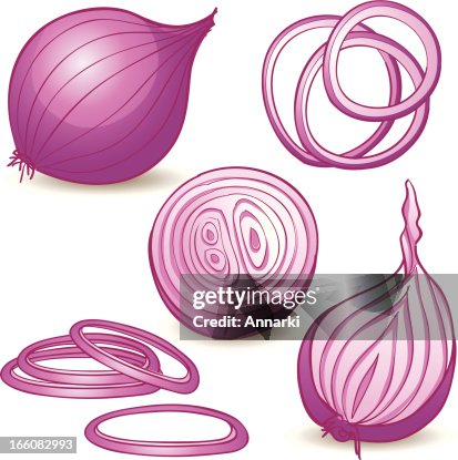 Onions Slice Vector Onions Slice Vector