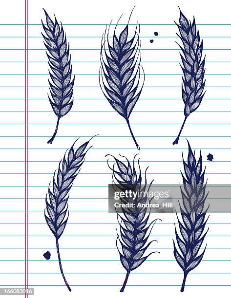 vector sketchy wheat icons on white lined paper background. - tendril stock illustrations
