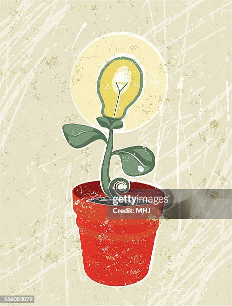 small seedling with lightbulb flower - light breaking through stock illustrations