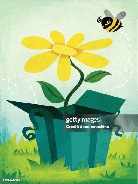 bobby bee's birthday - bees pollinating stock illustrations