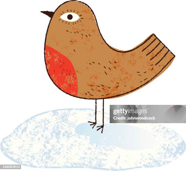 robin. - robin stock illustrations