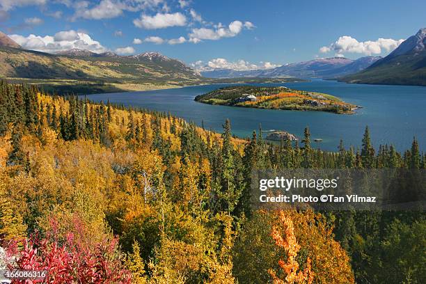 yukon gold - whitehorse imagens e fotografias de stock