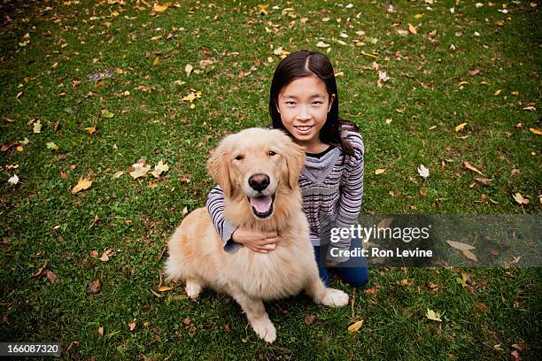 young girl and pet golden retriever, portrait - retriever - fotografias e filmes do acervo