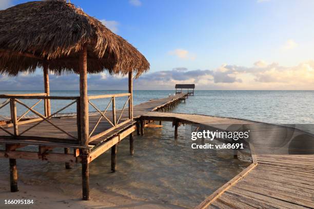 beautiful sunset - belize stock pictures, royalty-free photos & images