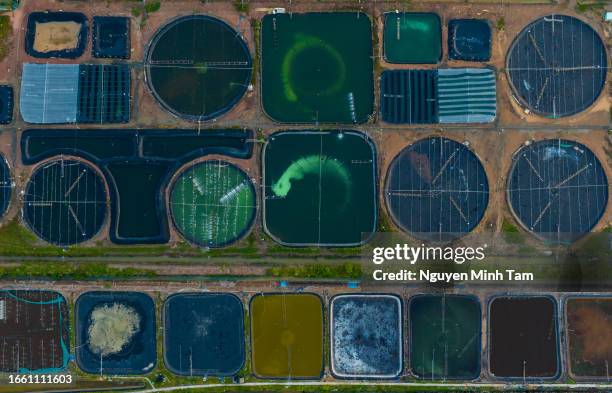 abstract aerial photo of shrimp farm in coastal ha tien, kien giang province - shrimp boat stock pictures, royalty-free photos & images