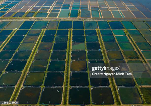 aerial photo of colorful shrimp farm in coastal ha tien, kien giang province - shrimp boat stockfoto's en -beelden