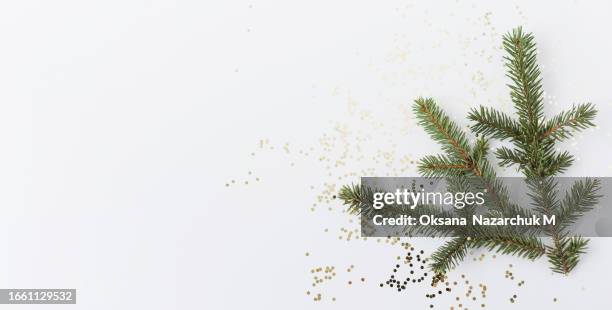 christmas banner on white background - tannenzweig stock-fotos und bilder