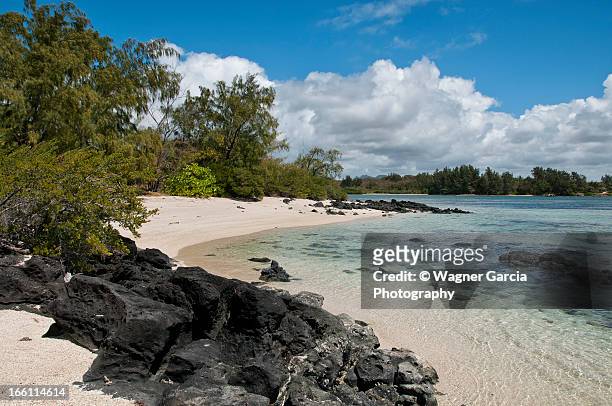 deserted beach in mauritius - port louis bildbanksfoton och bilder