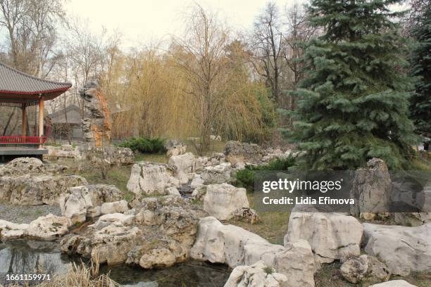Chinese traditional stone garden. Green plants and rocks in oriental forest. Decorative shrub for landscaping in Asian style. Zen garden with grass and pebbles. Marble rockery stone