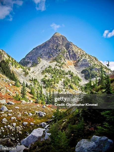 williams peak - meadow williams stock pictures, royalty-free photos & images