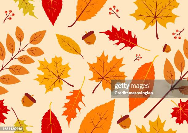autumn leaves seamless background - maple leaf pattern stock illustrations