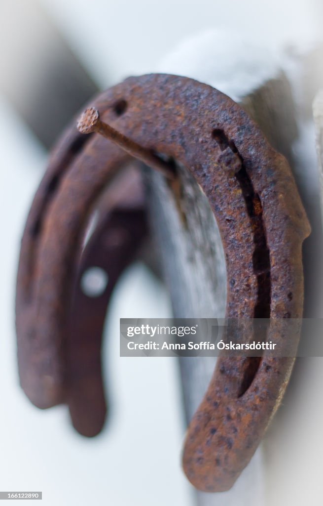 A rusted horse-shoe on a nail