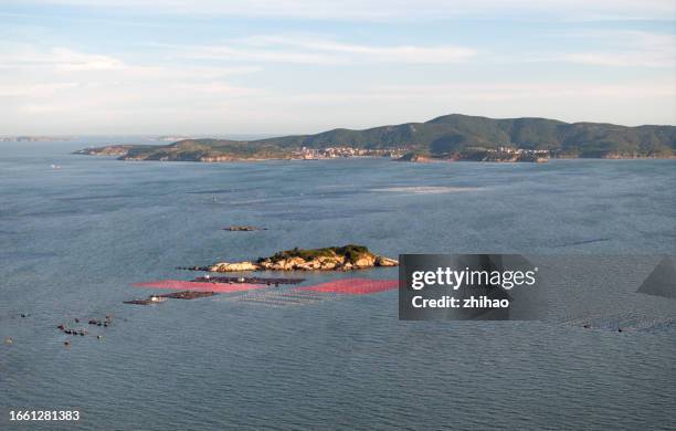 aquaculture at sea - sea islands stock pictures, royalty-free photos & images